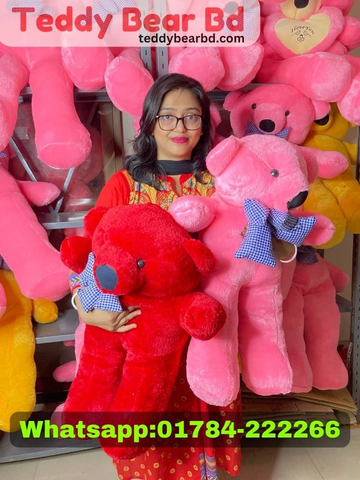 Extra large big Teddy 2.5 feet dark pink - Price in Bangladesh