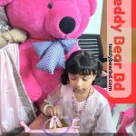 Extra large big Teddy 4  feet dark pink - Price in Bangladesh