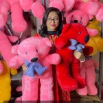 Extra large big Teddy brown color 2.5  feet dark pink - Price in Bangladesh