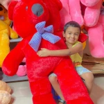 Extra large big Teddy brown color 2.5  feet dark pink - Price in Bangladesh