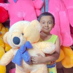 Extra large big Teddy 2.5 feet cream color   - Price in Bangladesh